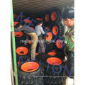 LOW customs duties USA MARKET 10-16.5 12-16.5 skid steer tire